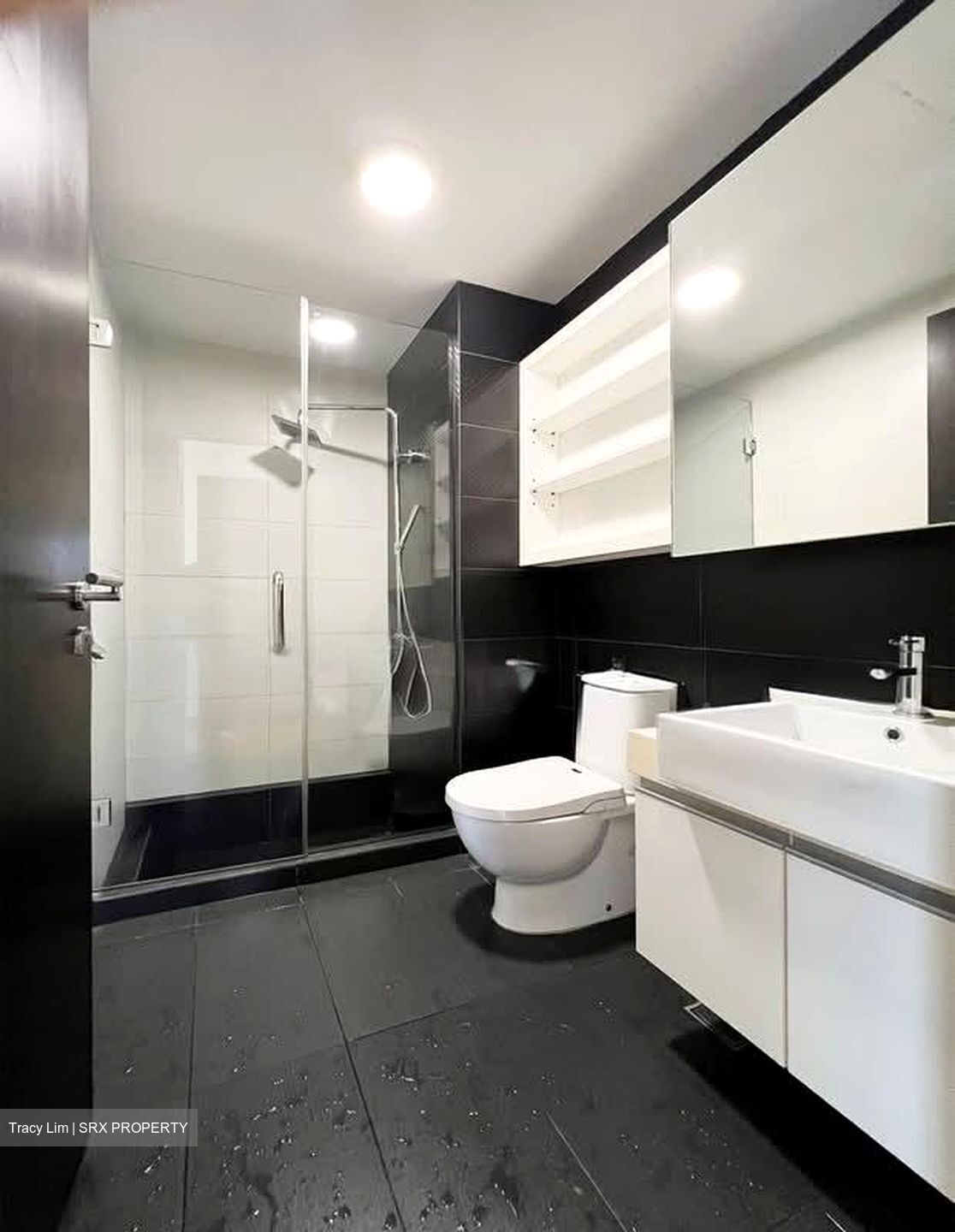 Haig 162 (D15), Apartment #554241391